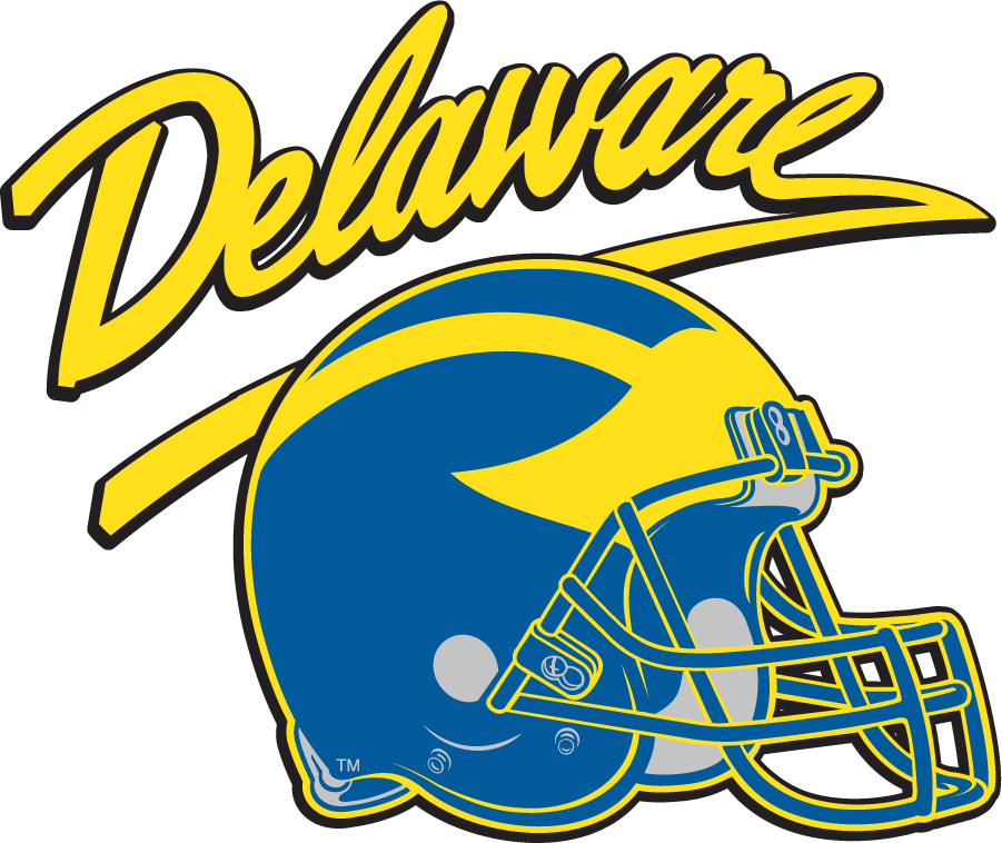 Delaware Blue Hens 1999-2009 Helmet Logo DIY iron on transfer (heat transfer)